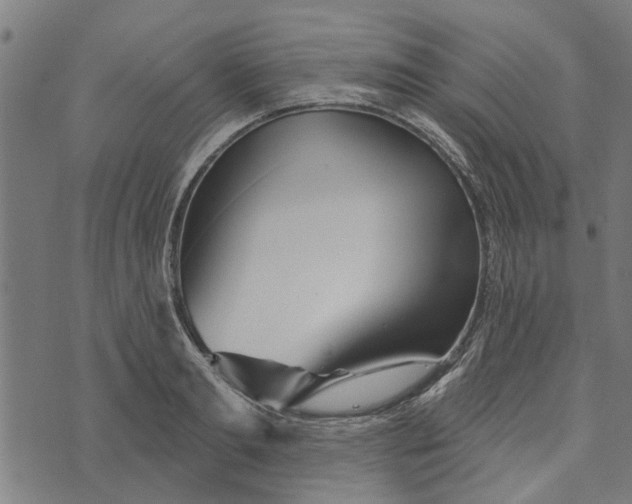 X0000073520893200608211802