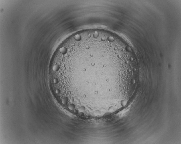 X0000073520895200608211802