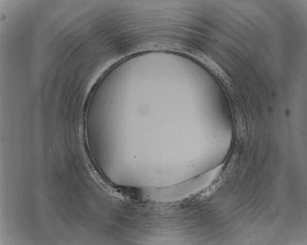 X0000073520896200608211802