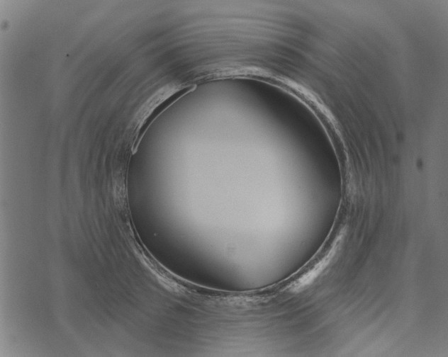 X0000073520897200608211801