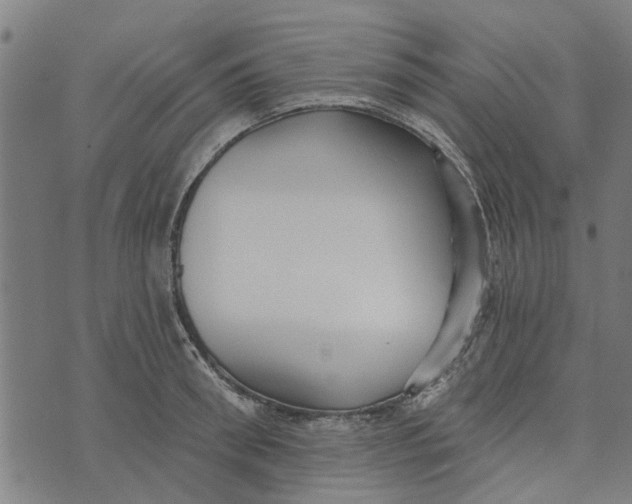 X0000073520898200608211801