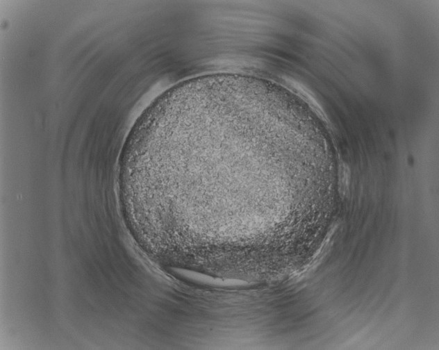 X0000073520899200608211801