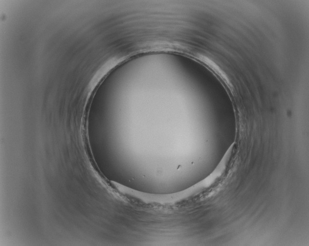 X0000073520901200608211801