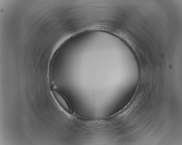 X0000073520902200608211801