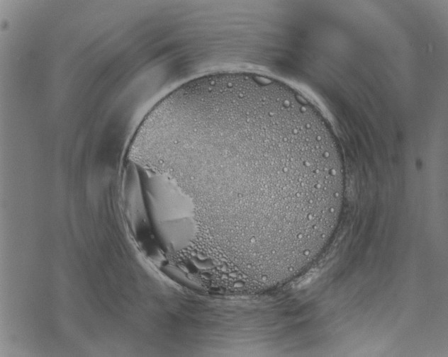 X0000073520903200608211801