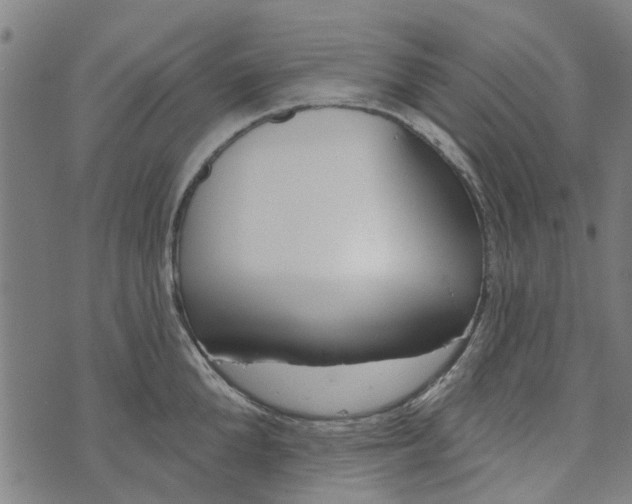 X0000073520904200608211801