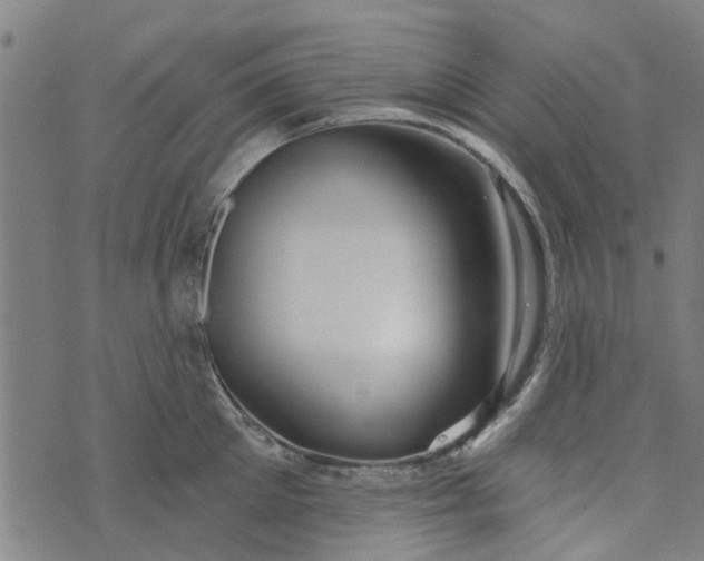 X0000073520905200608211801