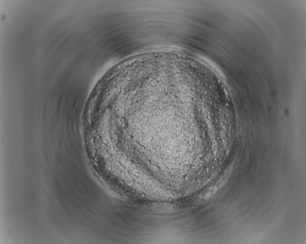 X0000073520907200608211801