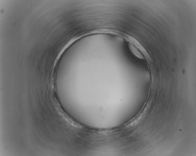 X0000073520908200608211801