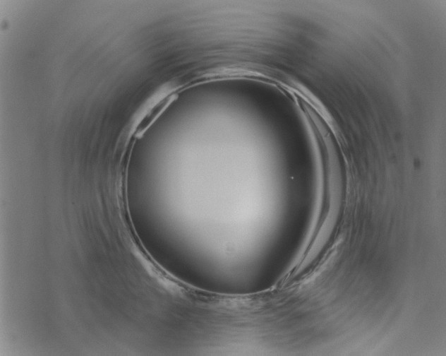 X0000073520909200608211801