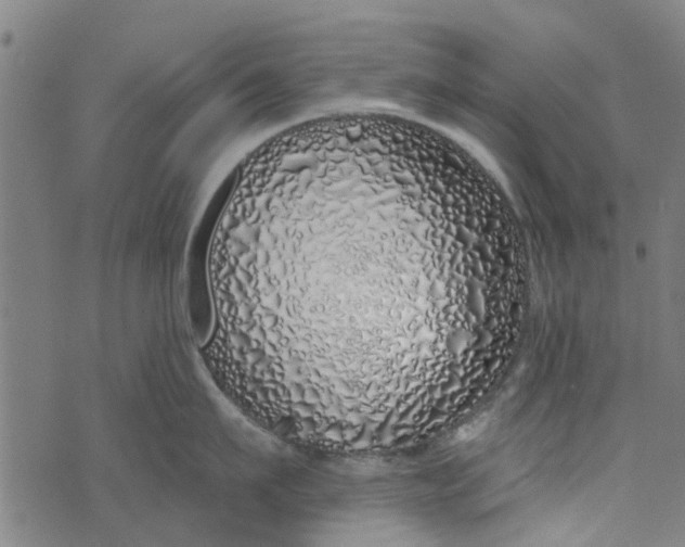 X0000073520911200608211801