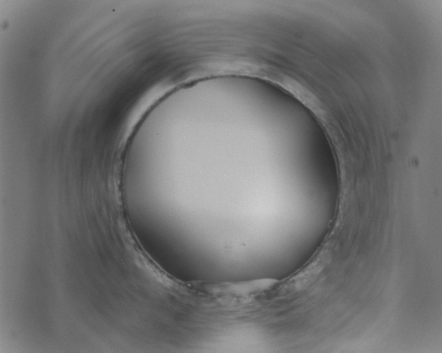 X0000073520912200608211801