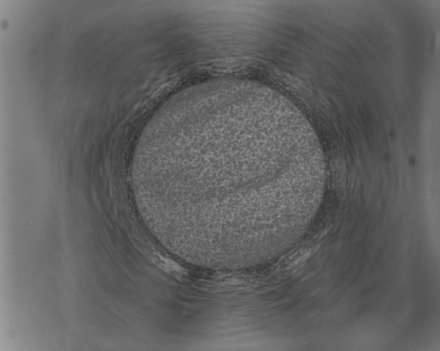 X0000073520913200608211800