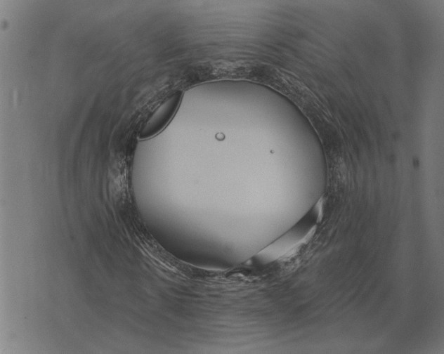 X0000073520914200608211800