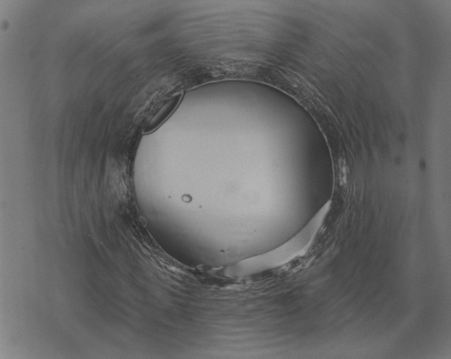 X0000073520915200608211801