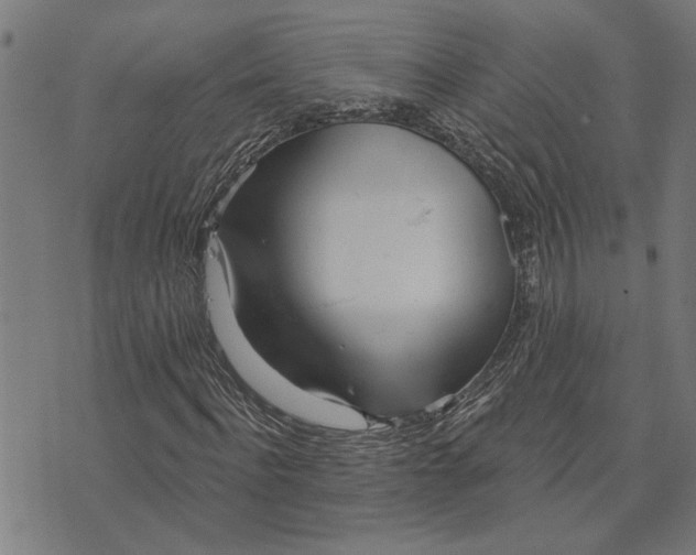 X0000073520916200608211801