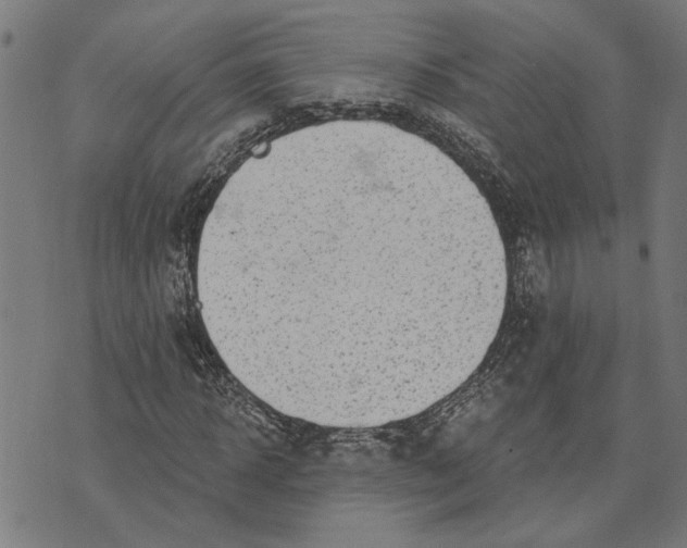 X0000073520918200608211801