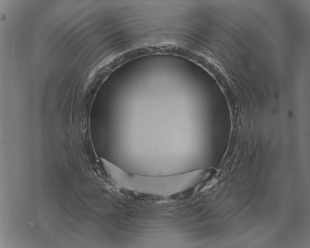 X0000073520920200608211801