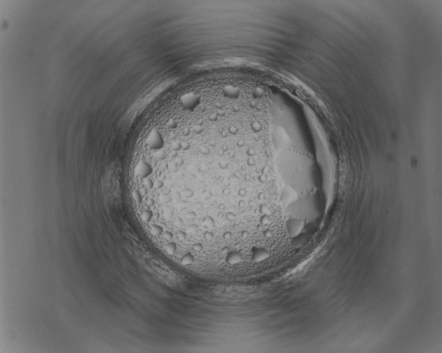 X0000073520921200608211801