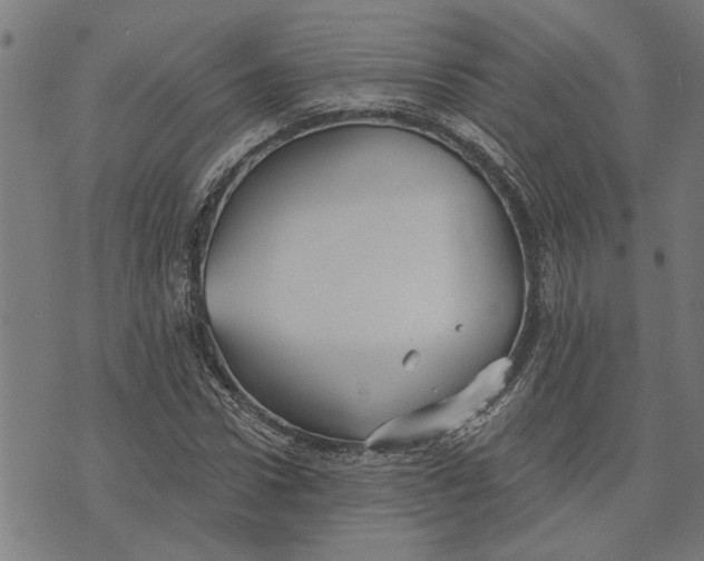 X0000073520922200608211801