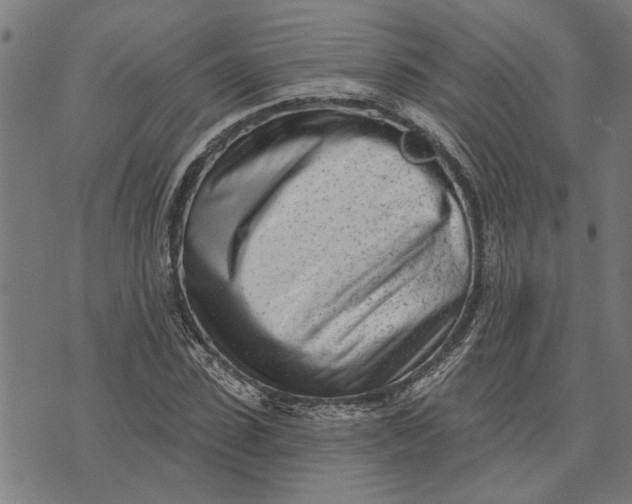 X0000073520923200608211801