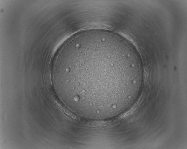 X0000073520925200608211801