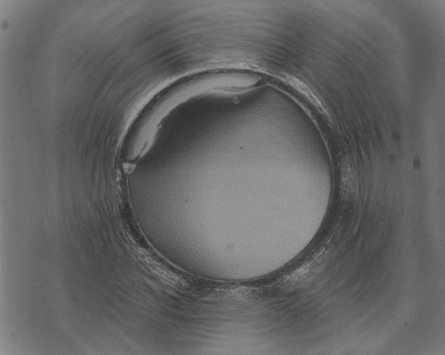 X0000073520926200608211801