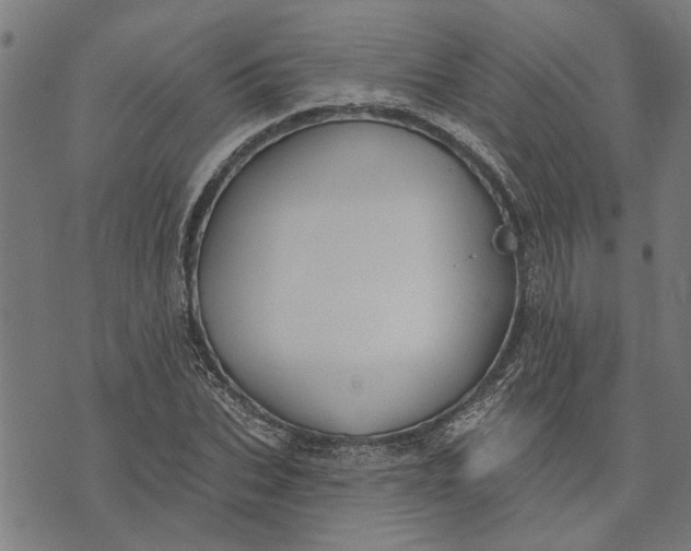 X0000073520927200608211801