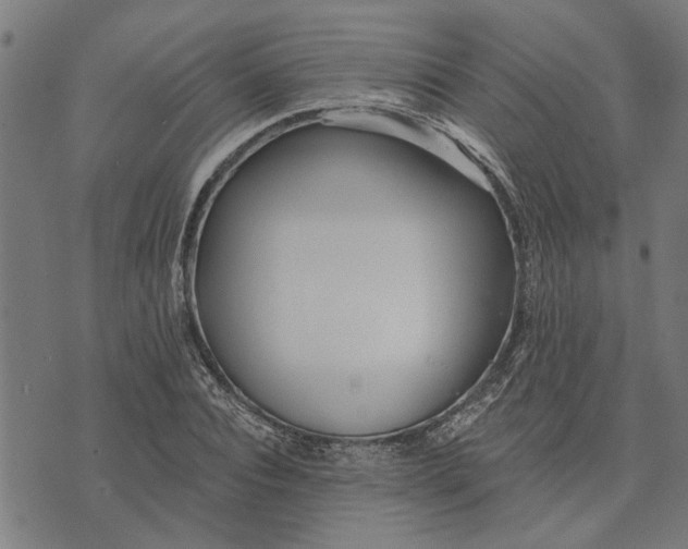 X0000073520928200608211801