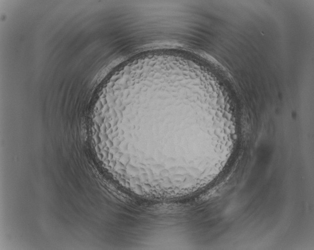 X0000073520929200608211801