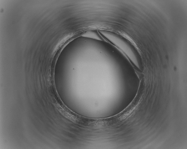 X0000073520930200608211801