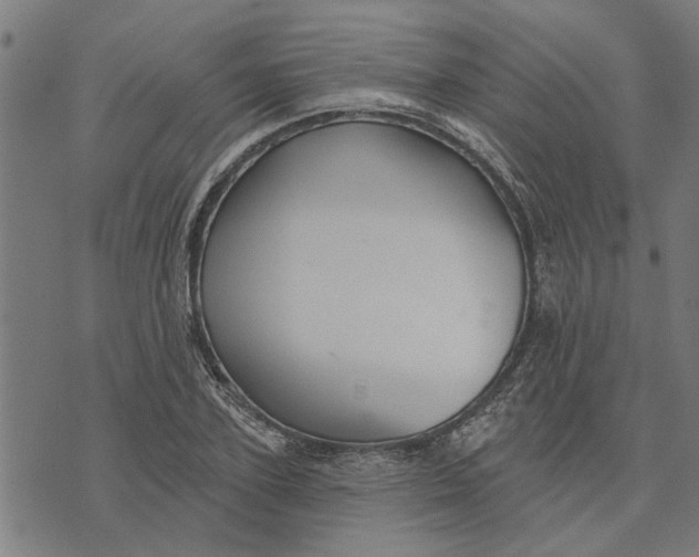 X0000073520931200608211801