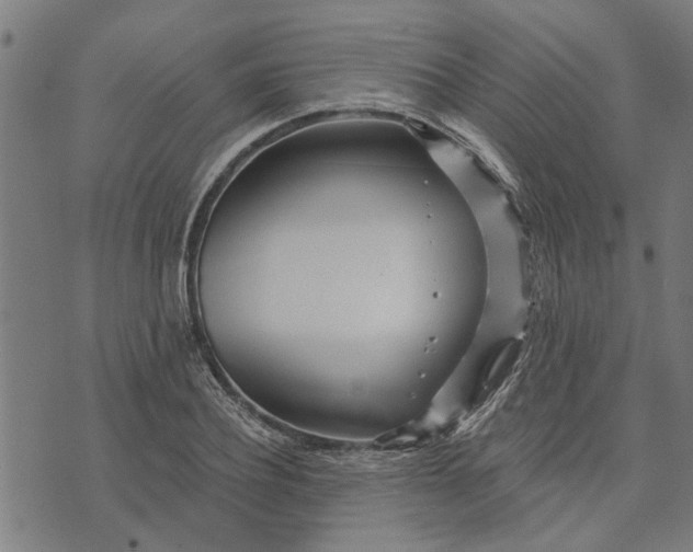 X0000073520932200608211801