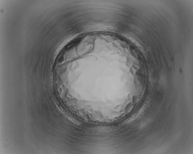 X0000073520933200608211801