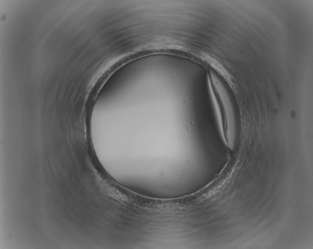 X0000073520934200608211801