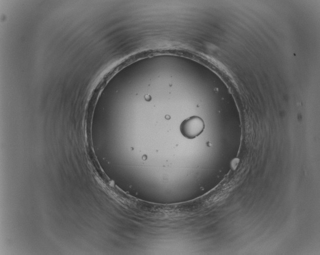 X0000073520935200608211801