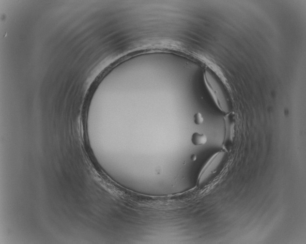 X0000073520936200608211801