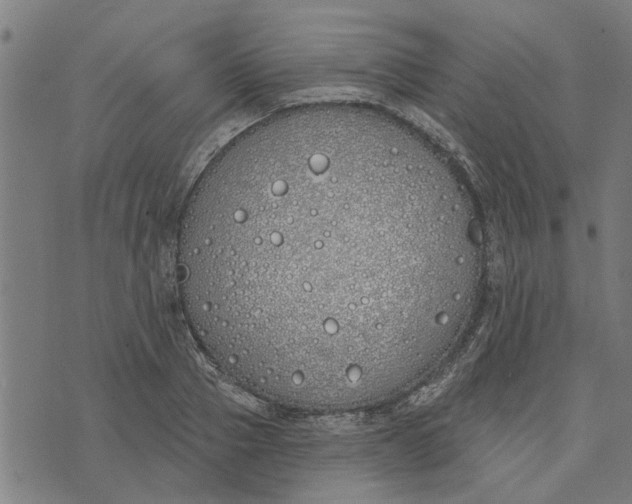 X0000073520937200608211801