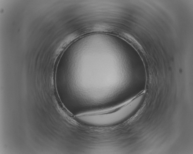 X0000073520938200608211801