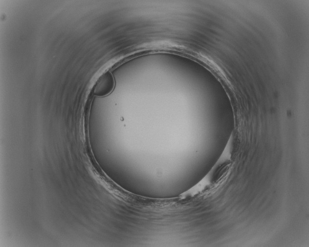 X0000073520939200608211801