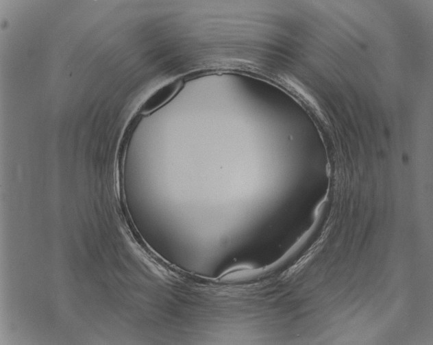 X0000073520940200608211801