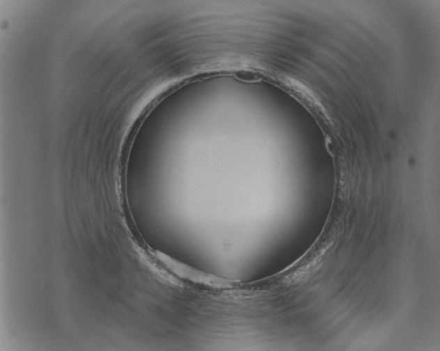 X0000073520942200608211801