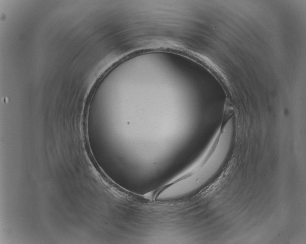 X0000073520943200608211801