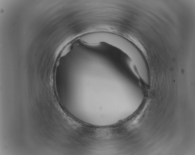 X0000073520944200608211801