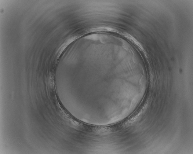 X0000073520945200608211801