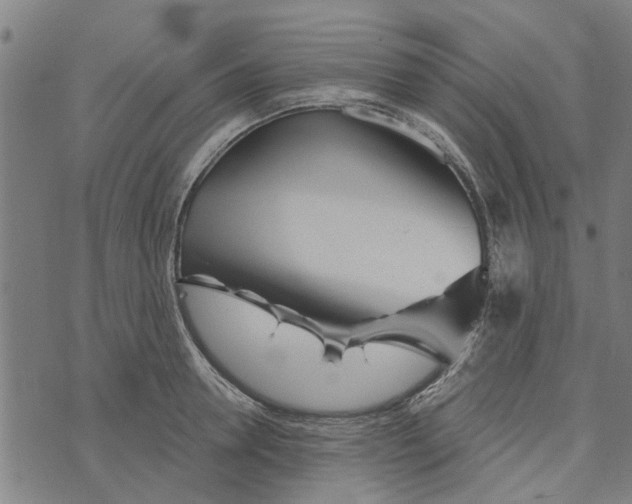 X0000073520946200608211801