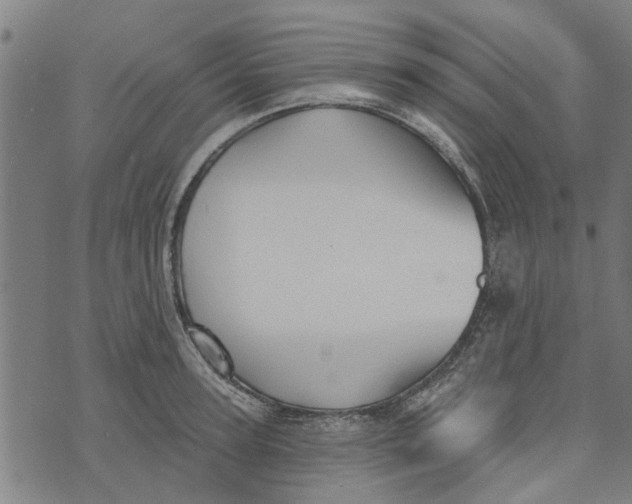 X0000073520947200608211801