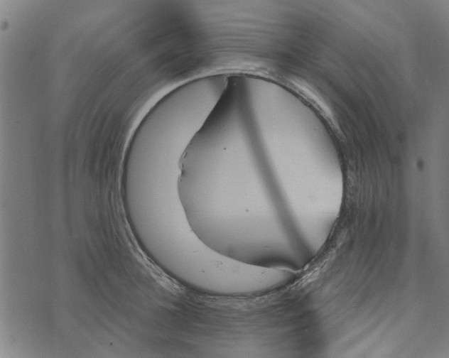 X0000073520948200608211801