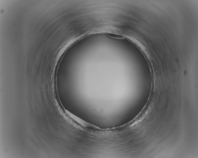 X0000073520949200608211801