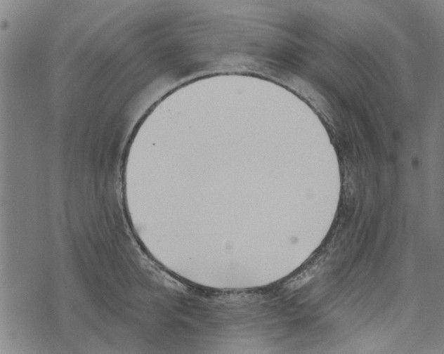 X0000073520950200608211801